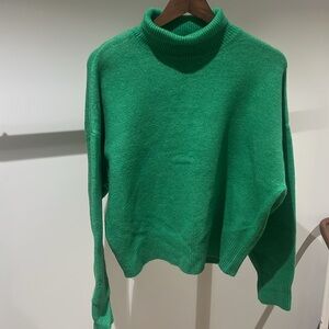 Zara Turtleneck Sweater